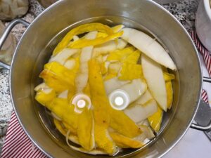 Candied peels and ginger